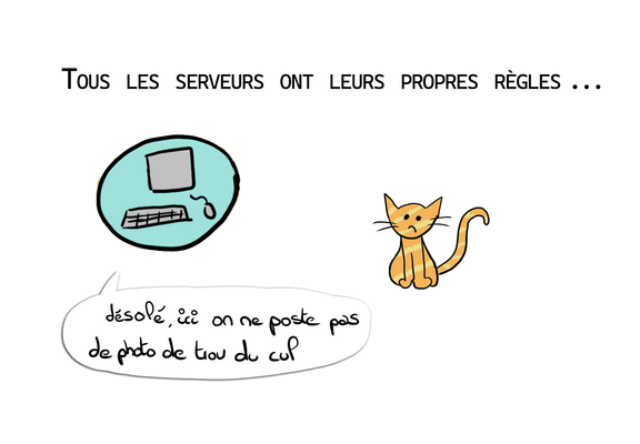 "Tous les serveurs ont leur propres règles..." avec un serveur-ordi qui dit à un petit chat "désolé, ici on ne poste pas de photo de trou du cul"