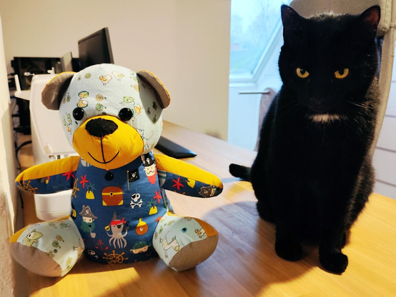 Our black cat Saxo and a teddy bear I made.