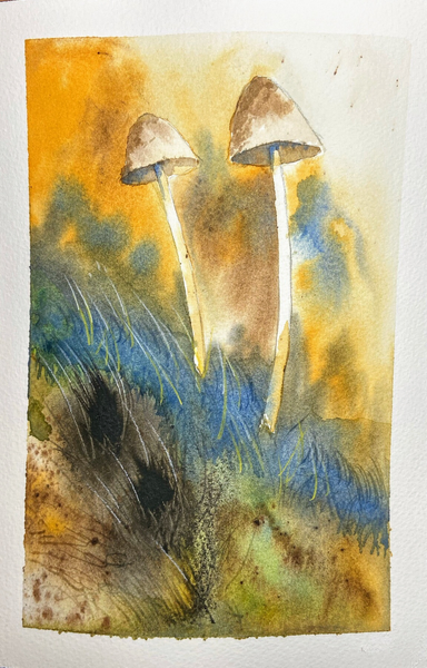 Mushrooms - #watercolor