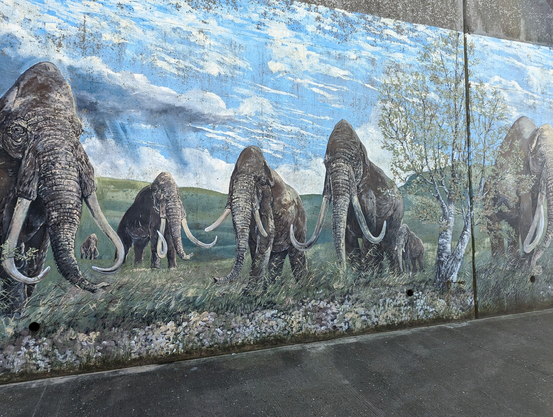 A mural of mastodons.