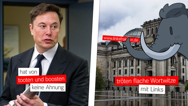 Meme, bestehend aus zwei Bildern.
Bild 1: Elon Musk. Darüber der Text »hat von tooten und boosten keine Ahnung.«
Bild 2: Das Mastodon-Maskottchen, das die URL »www.linksfraktion.de« vor das Reichstagsgebäude hält. Darüber der Text: »tröten flache Wortwitze mit Links«