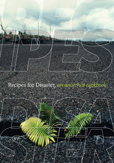Zine Recipes for a disaster. a anarchist cookbook 

oben steht in groß und kursiv recipes unten disaster . nur konturen der buchstaben . im hintergrund eine straße
