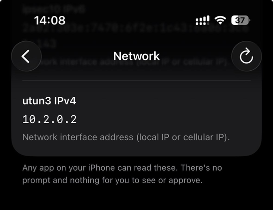 Proton VPN tunnel internal IP as shown in Loupe