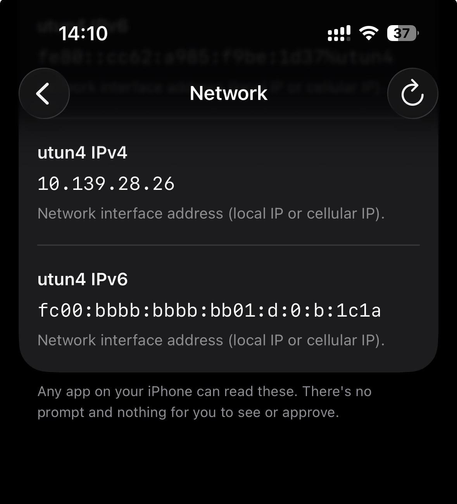 Mullvad VPN tunnel internal IPs as shown in Loupe