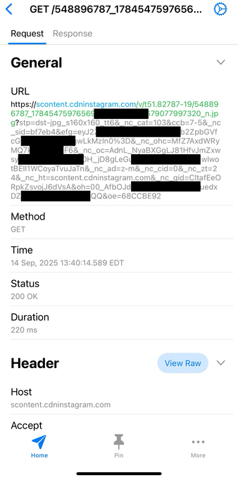 A GET request sent by Instagram when the notification was shown on screen.
