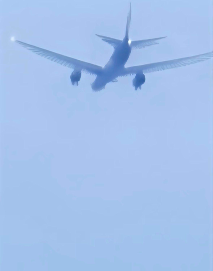 A photograph of a passenger plane in a plain blue sky, but all of its flight surfaces have the appearance of feathers.
